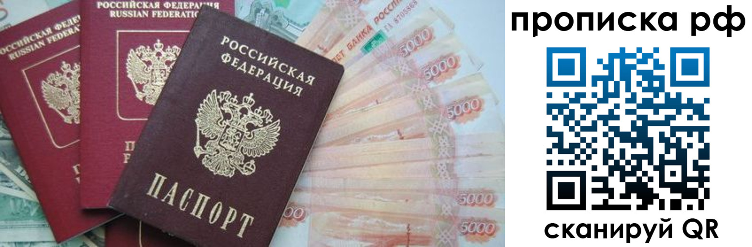 временная регистрация купить в Новомосковске
