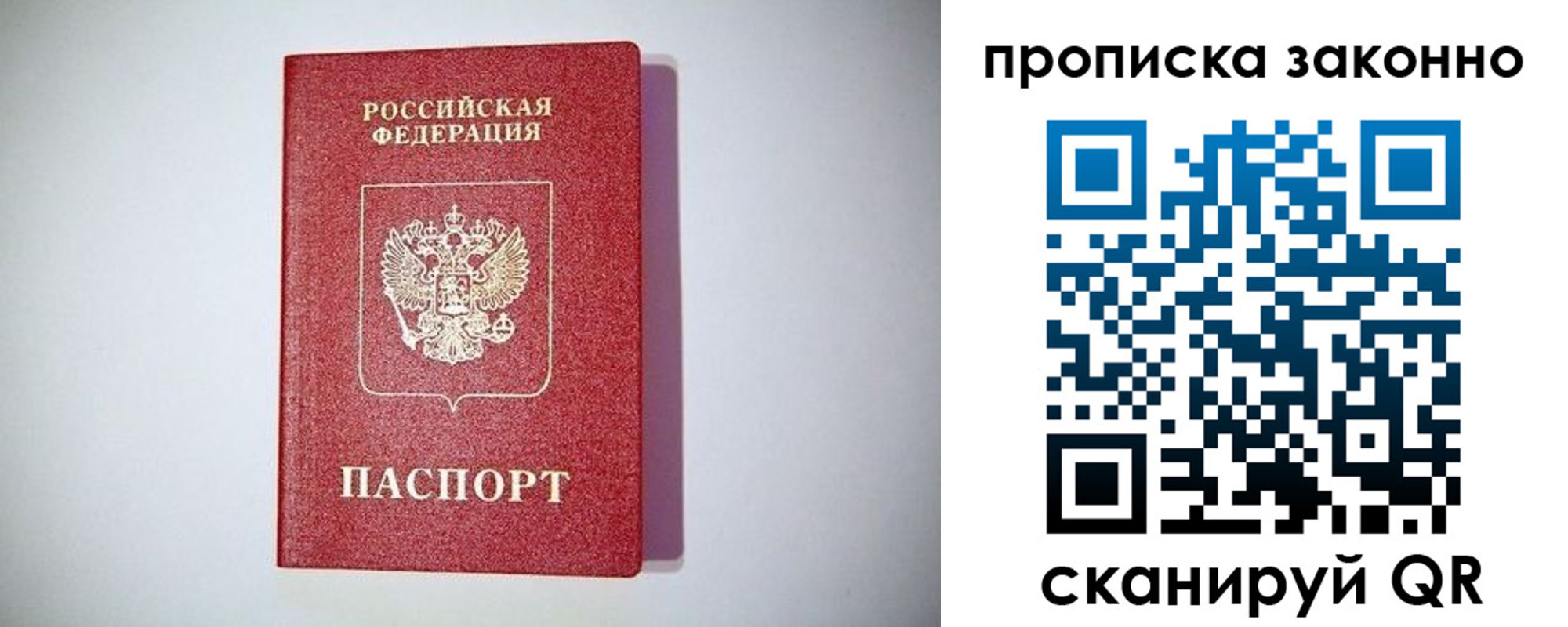прописка для школы в Новомосковске